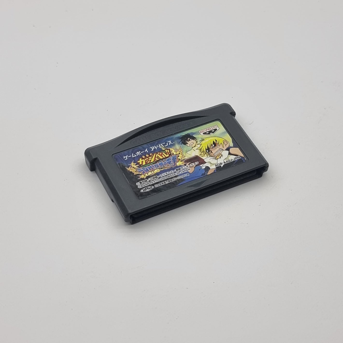 Zatch Bell! Electric Arena (Japanese Region)