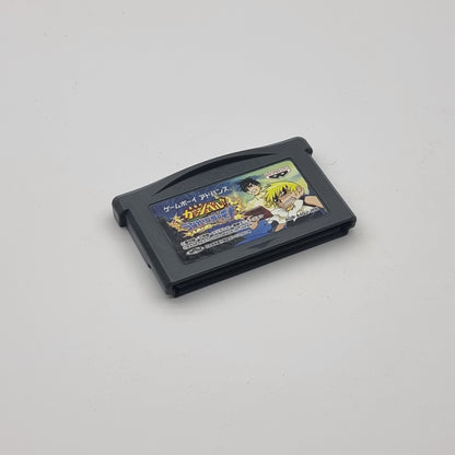 Zatch Bell! Electric Arena (Japanese Region)