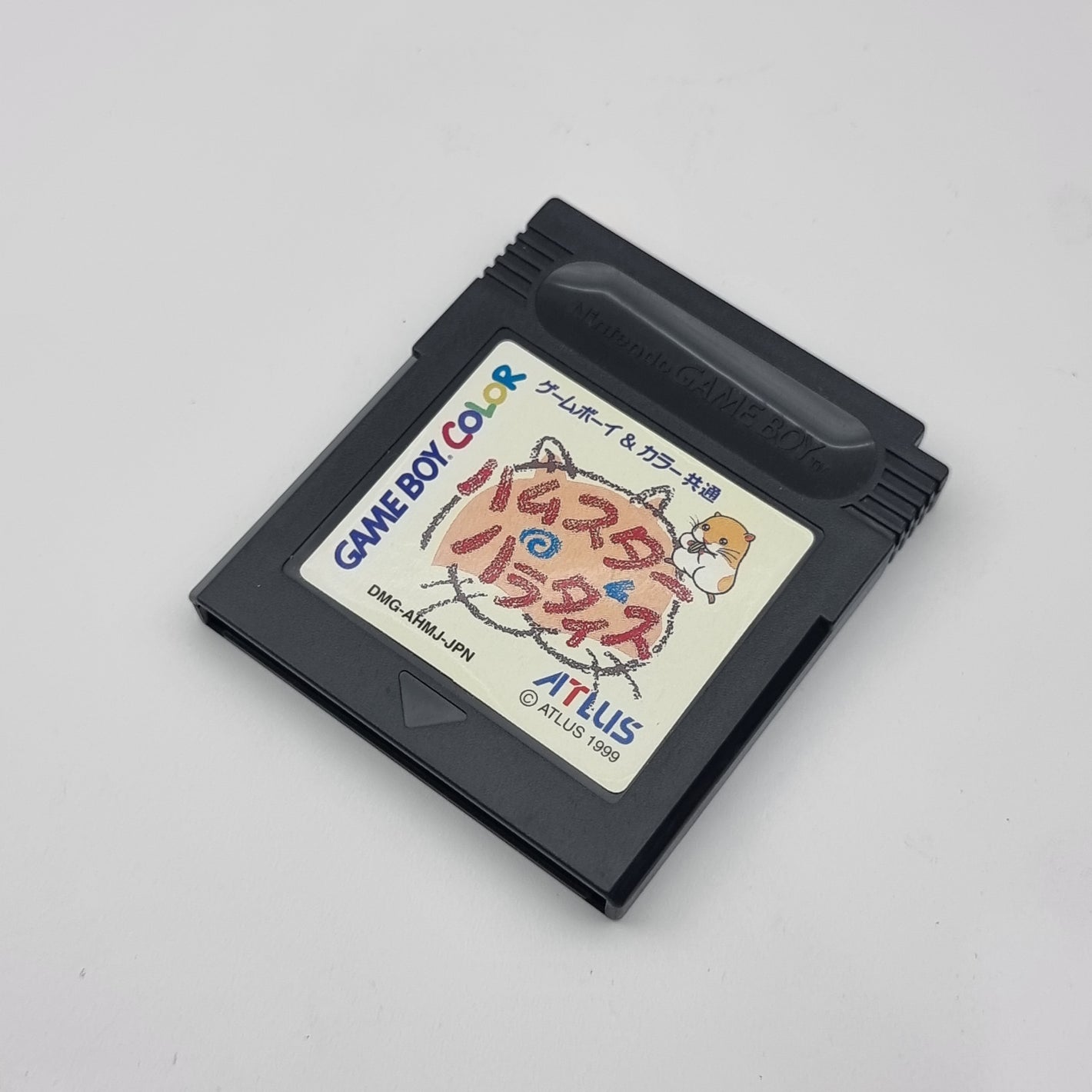 Hamster Paradise (Japanese Edition)