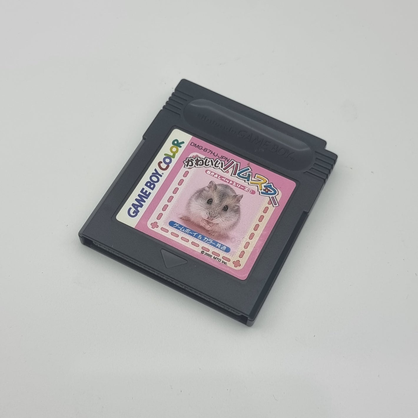 Kawaii Hamster (Japanese Edition)