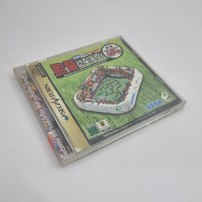 Sekaihatsu Socce RPG