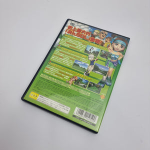 Everybody's Golf 4 (NTSC-J / Japan Region)
