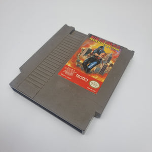 Ninja Gaiden (USA Region)