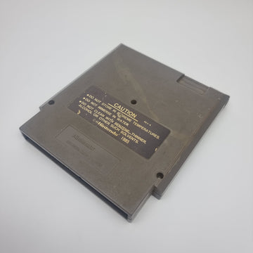 Ninja Gaiden (USA Region)