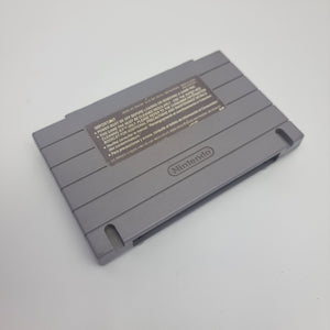 Donkey Kong Country 2: Diddy's Kong Quest (USA Region)