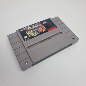 Super Wrestle Mania (USA Region)