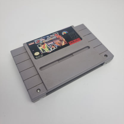 Super Wrestle Mania (USA Region)