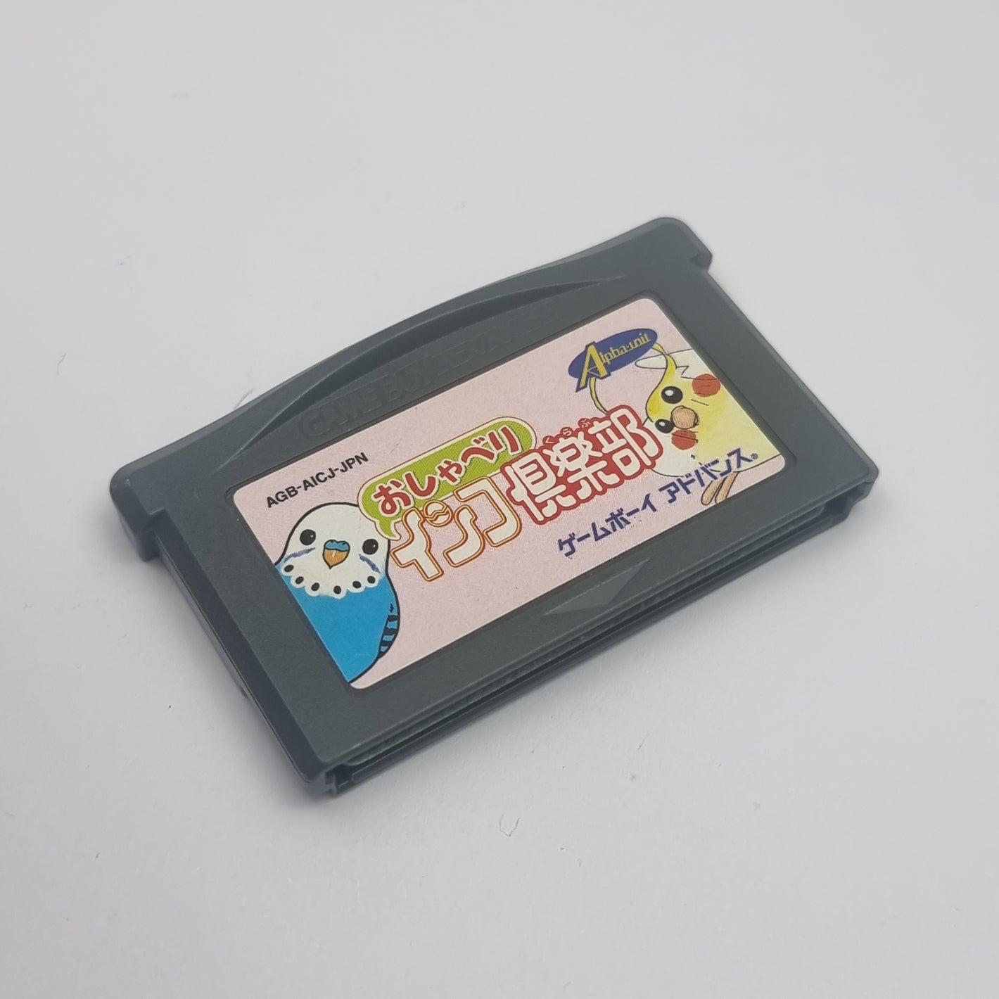 Oshaberi Inko Club (Japanese Version)