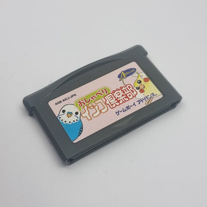 Oshaberi Inko Club (Japanese Version)