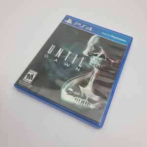 Until Dawn