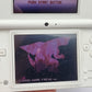 Nintendo DSi - Japanese Edition