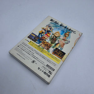 Final Fantasy: Crystal Chronicles (JapanRegion)
