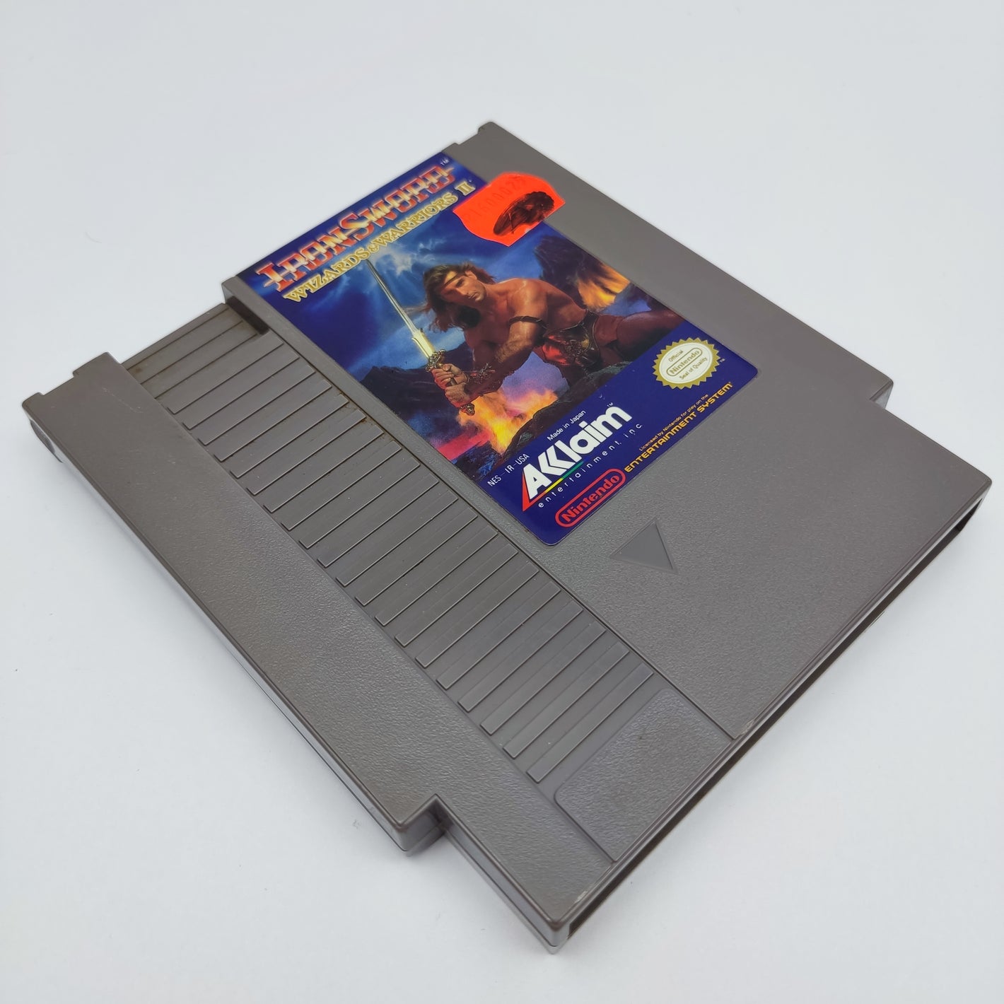 Ironsword: Wizard & Warriors 2
