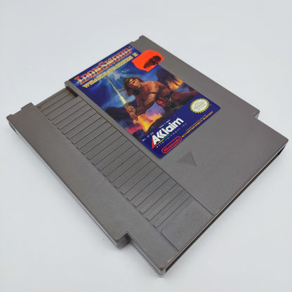 Ironsword: Wizard & Warriors 2