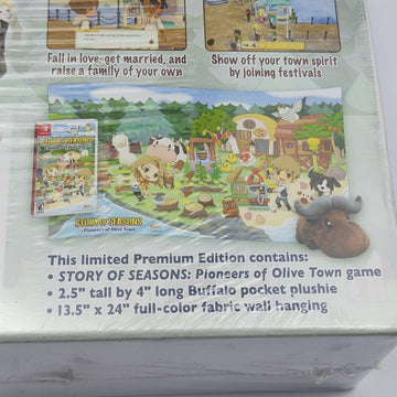 Story of Seasons: Pioneers of olive Town
