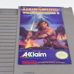 Iron Sword Wizard and Warriors 2