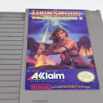 Iron Sword Wizard and Warriors 2