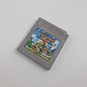 The Legend of Zelda: Dreaming Island (Japanese Edition)