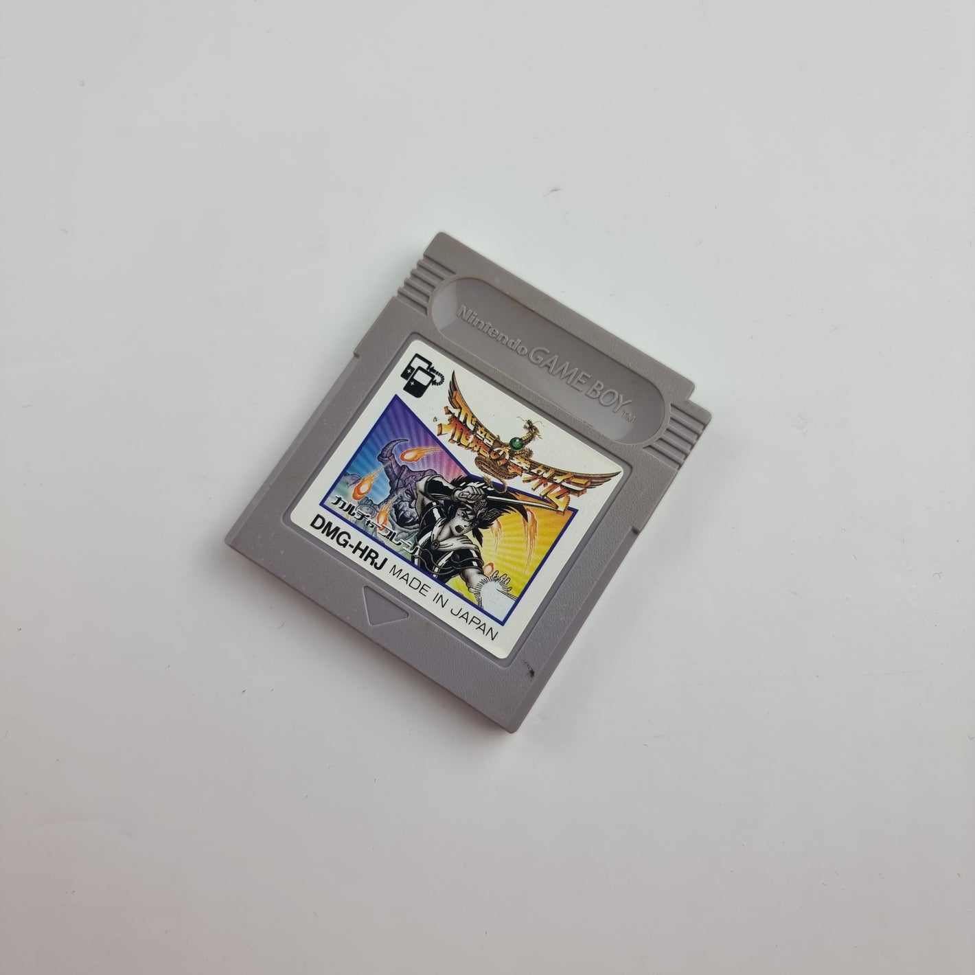 Hiryu no Ken Gaiden (Japanese Edition)